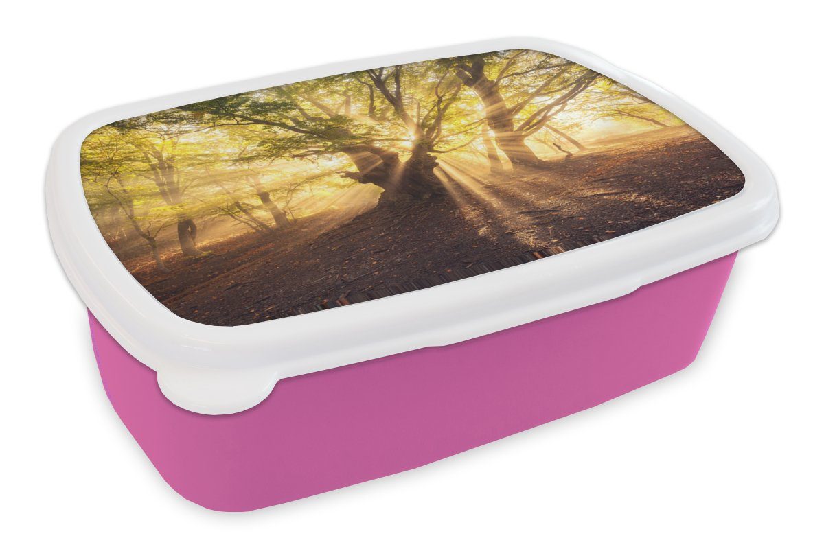 Sonne, Kunststoff, Brotbox - - MuchoWow (2-tlg), Snackbox, rosa Baum Mädchen, Brotdose Wald Lunchbox Kinder, Erwachsene, für Kunststoff