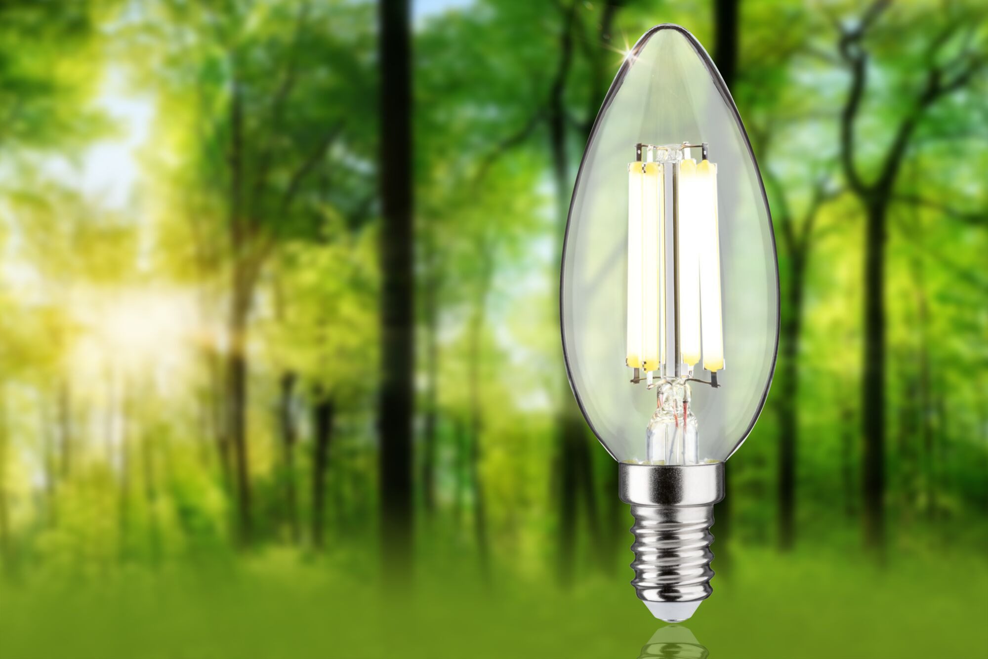 Paulmann LED-Leuchtmittel Eco-Line Filament 230V LED Kerze E14 1er-Set 525l günstig online kaufen