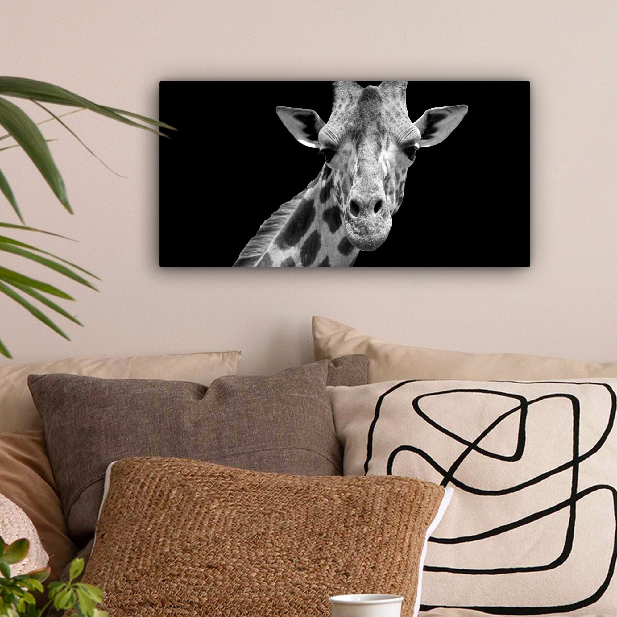 OneMillionCanvasses® Leinwandbild Panorama Giraffe - Wildtiere günstig online kaufen