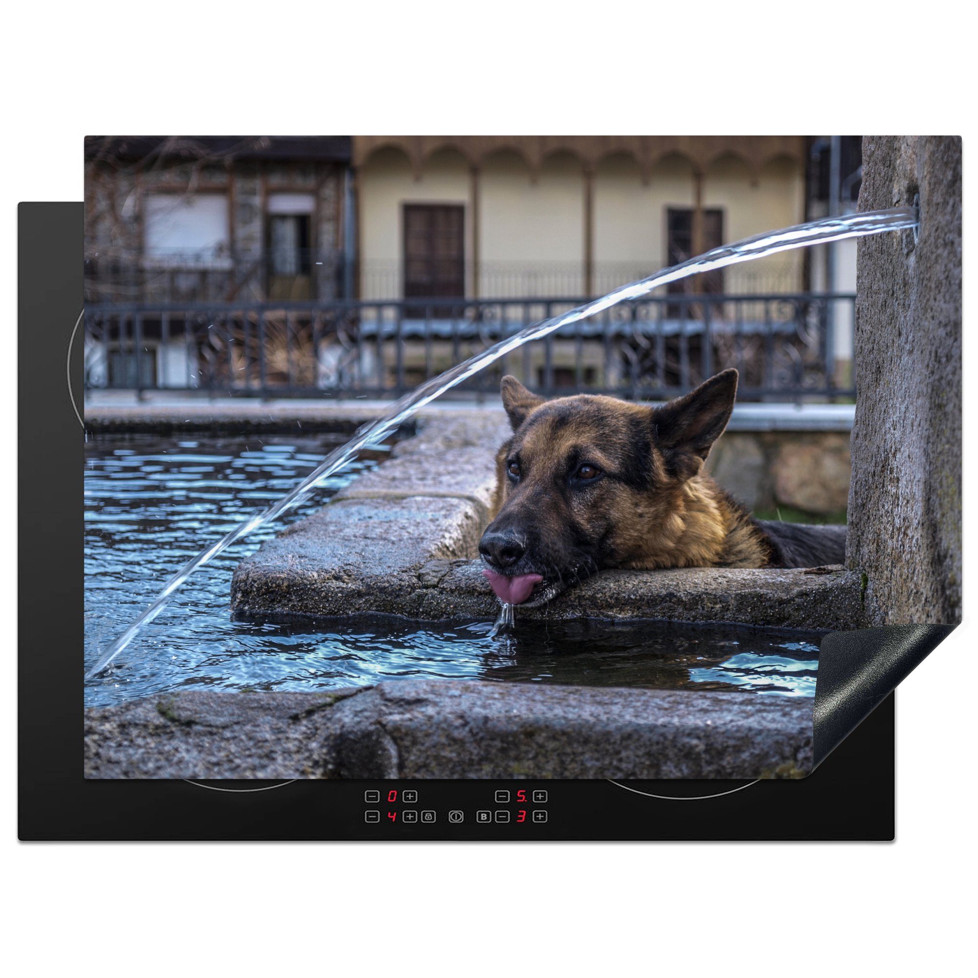 MuchoWow Herdblende-/Abdeckplatte Deutscher Schäferhund - Hund - Trinken, Vinyl, (1 tlg), 71x52 cm, Induktionskochfeld Schutz für die küche, Ceranfeldabdeckung