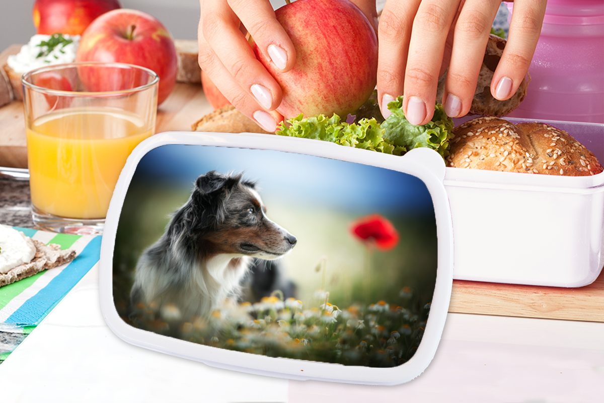 MuchoWow Lunchbox Hund - weiß - Blumen für Brotbox Erwachsene, (2-tlg), Kinder für Kunststoff, Brotdose, Farben, Mädchen und Jungs und