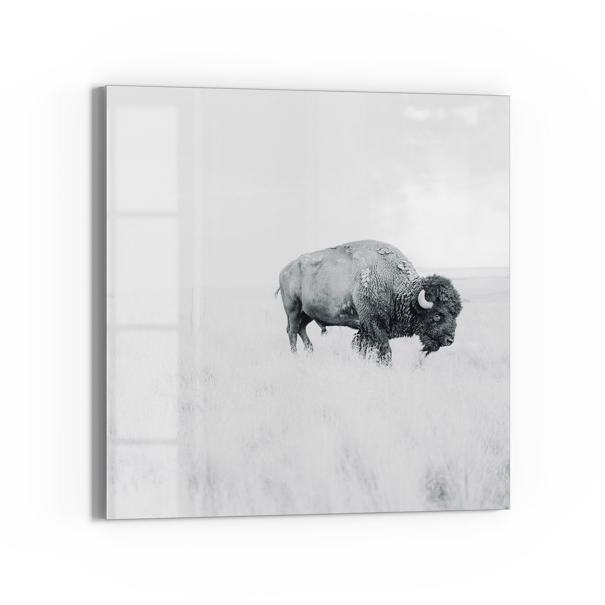 DEQOART Magnettafel 'Einsamer Bison', Whiteboard Pinnwand beschreibbar