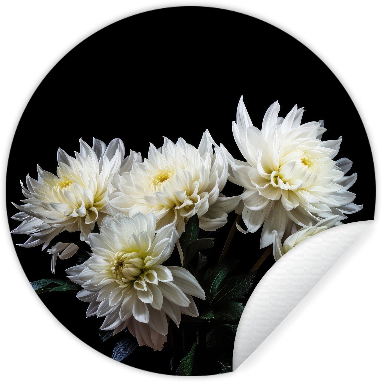 Natur Tapetenkreis - Rund, Tapetenaufkleber, (1 - St), Chrysantheme Wohnzimmer - Kinderzimmer, für - Wandsticker MuchoWow Blumen Weiß Botanisch