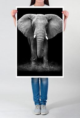 Sinus Art Poster 60x90cm Tierfotografie Poster Großer Elefanten von vorne schwarz weiß