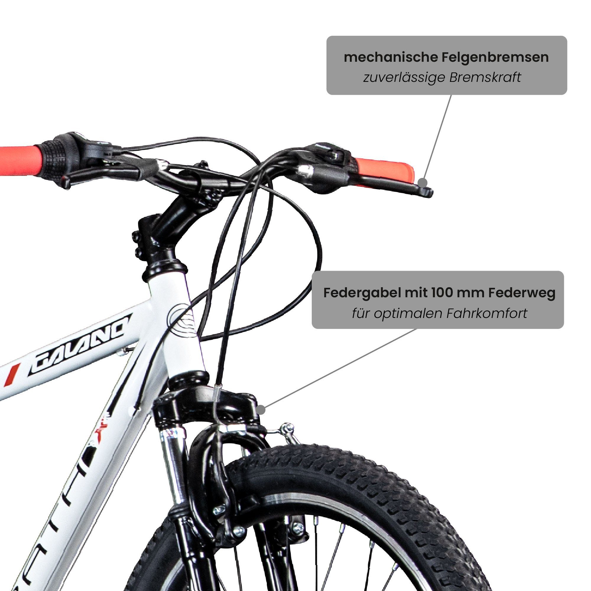 Galano Mountainbike Path, 21 Gang, Kettenschaltung, Mountainbike Jugendfahrrad ab 160 cm Fahrrad MTB Hardtail