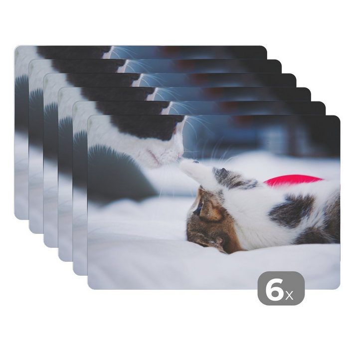 Platzset Katze - Kätzchen - Bettlaken MuchoWow (6-St) Platzset Platzdecken Platzmatte Tischmatten Schmutzabweisend