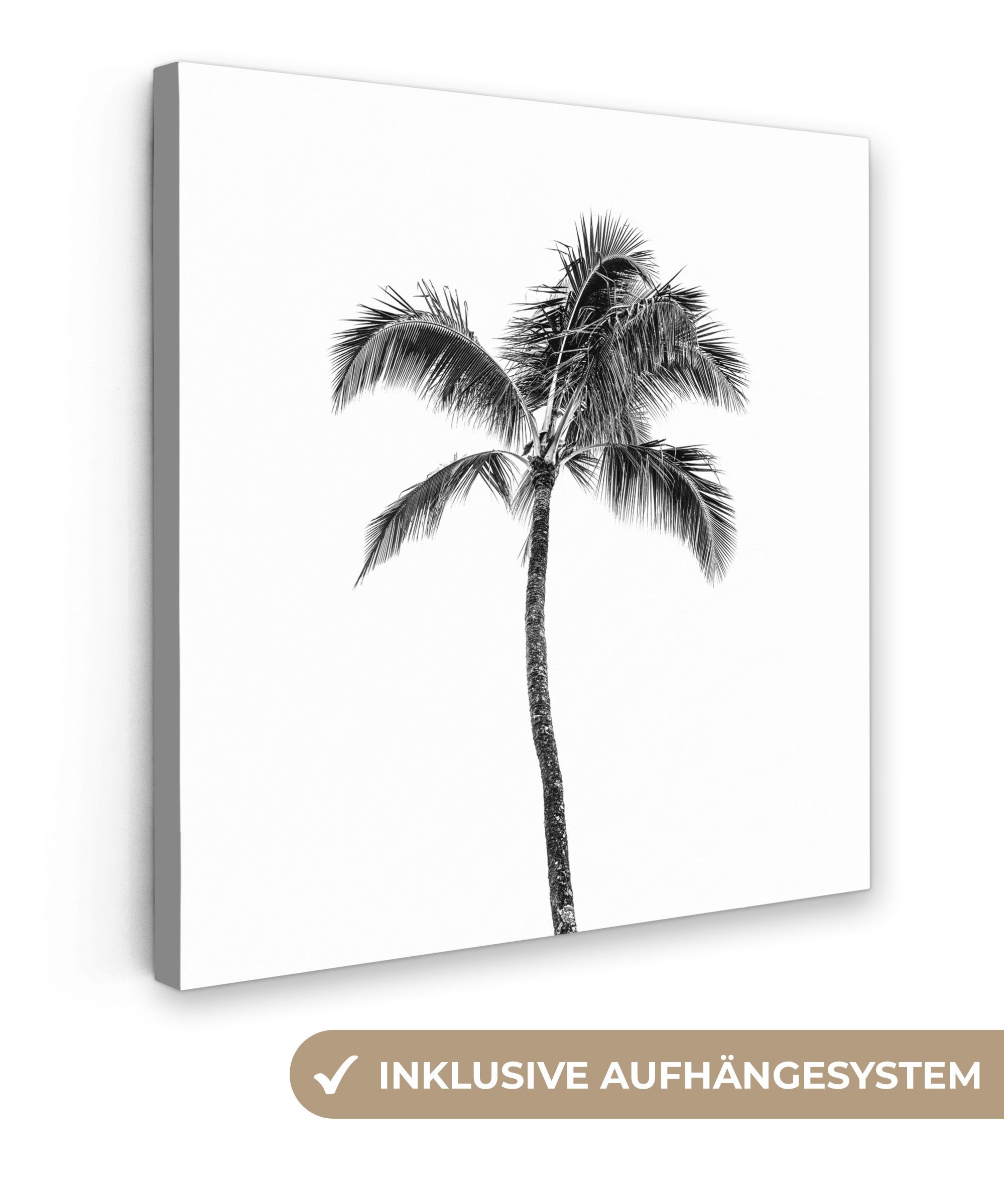 Tropisch Palme Bilder Schwarz - Leinwand und für - cm Wohnzimmer 20x20 Schlafzimmer, Leinwandbild (1 St), OneMillionCanvasses® weiß,
