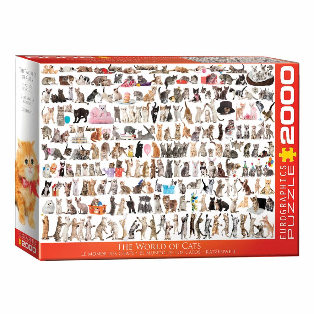 EUROGRAPHICS Puzzle Welt der Katzen, 2000 Puzzleteile