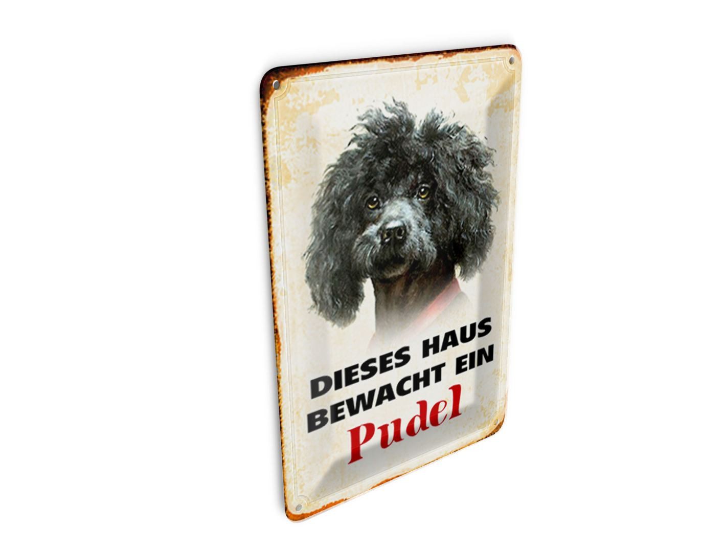 Femer GmbH Postkarte Hund 10x14 cm dieses Haus bewacht ein Pudel, unfrankiert