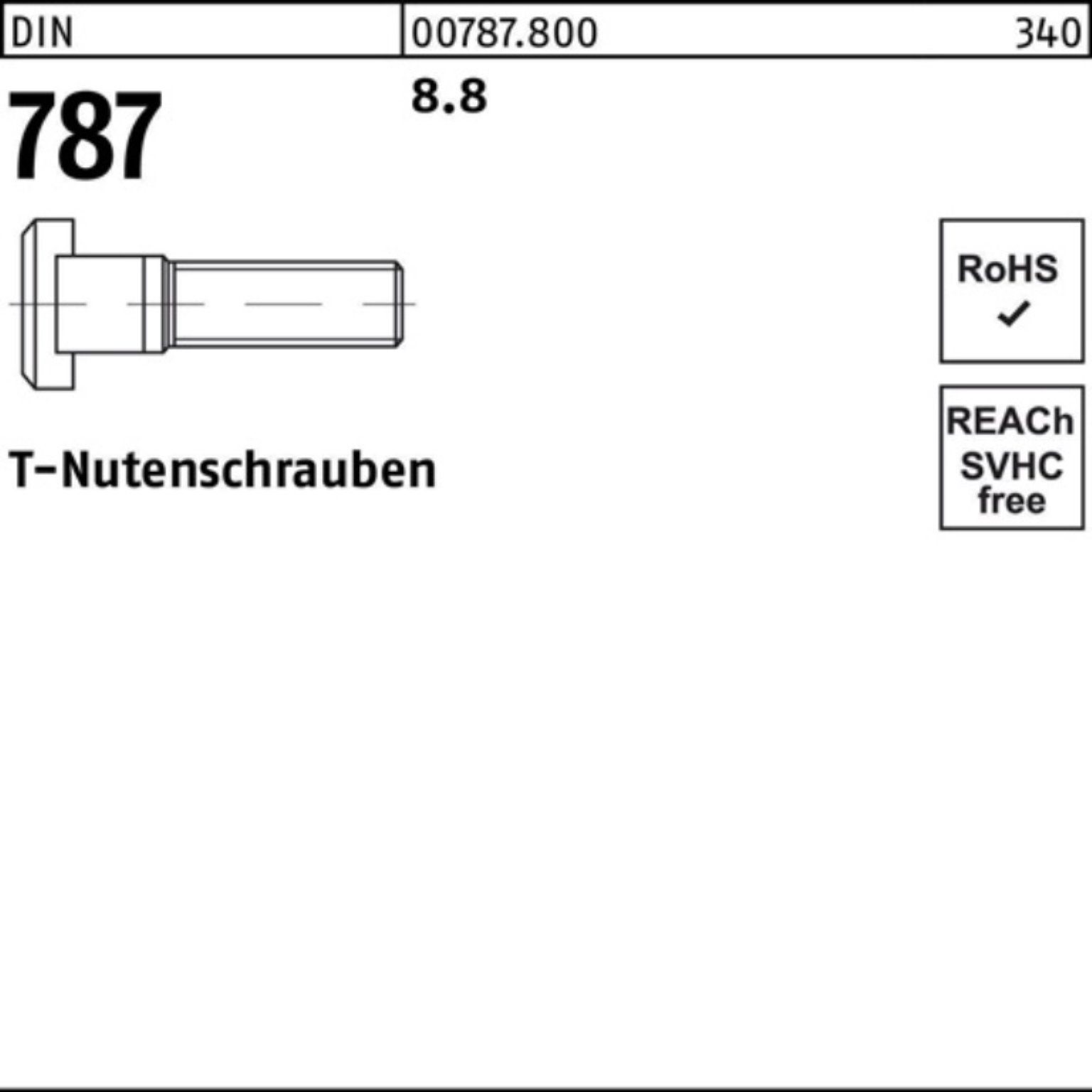 Reyher Schraube 20 Pack 787 8. 787 Stück 8.8 DIN T-Nutenschraube DIN 5 200 100er M20x