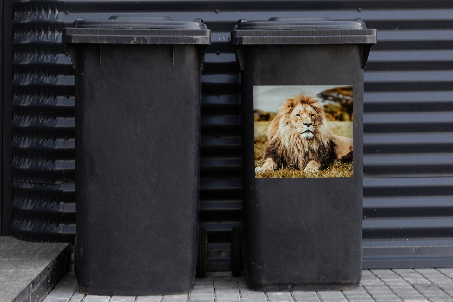 Tiere Sticker, Abfalbehälter Container, Braun MuchoWow Wild Mülltonne, Wandsticker - Mülleimer-aufkleber, St), (1 -