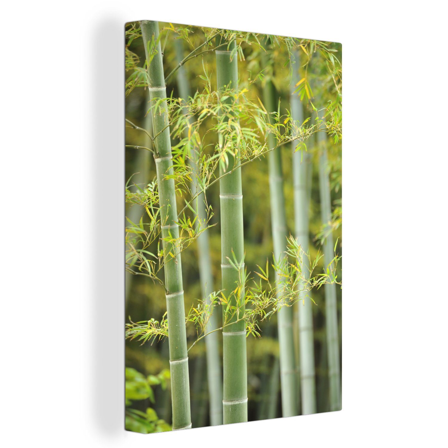 OneMillionCanvasses® Leinwandbild Blühender Bambus, (1 St), Leinwandbild fertig bespannt inkl. Zackenaufhänger, Gemälde, 20x30 cm