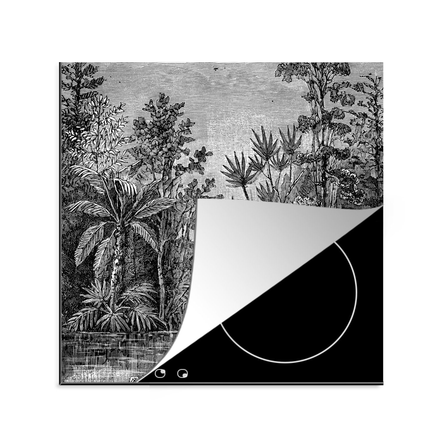 Arbeitsplatte Ceranfeldabdeckung, - - Wasser Pflanzen, cm, (1 MuchoWow Design 78x78 Vinyl, tlg), Herdblende-/Abdeckplatte küche Natur - für