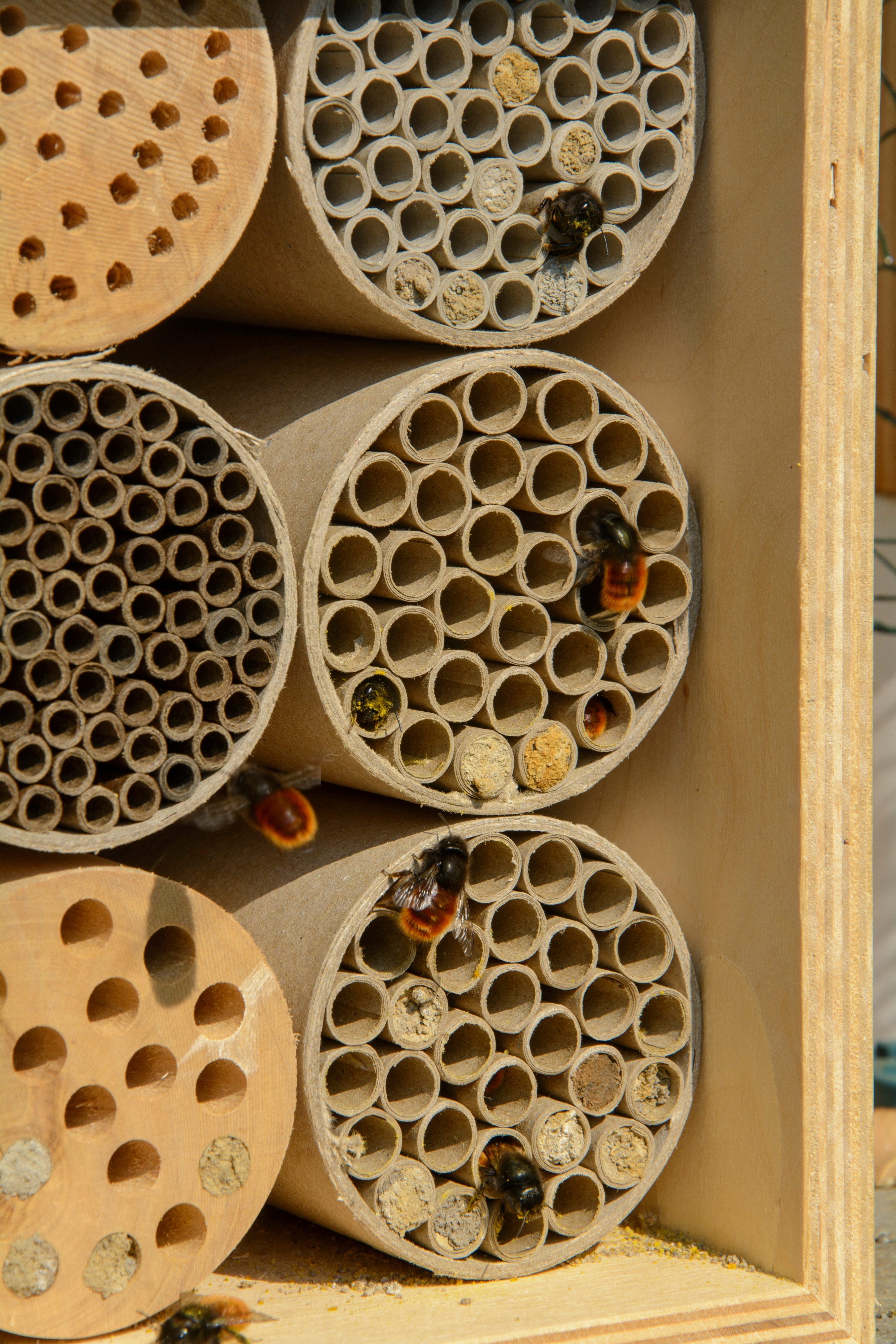 dobar Insektenhotel Profi-Insektenhotel für Wildbienen