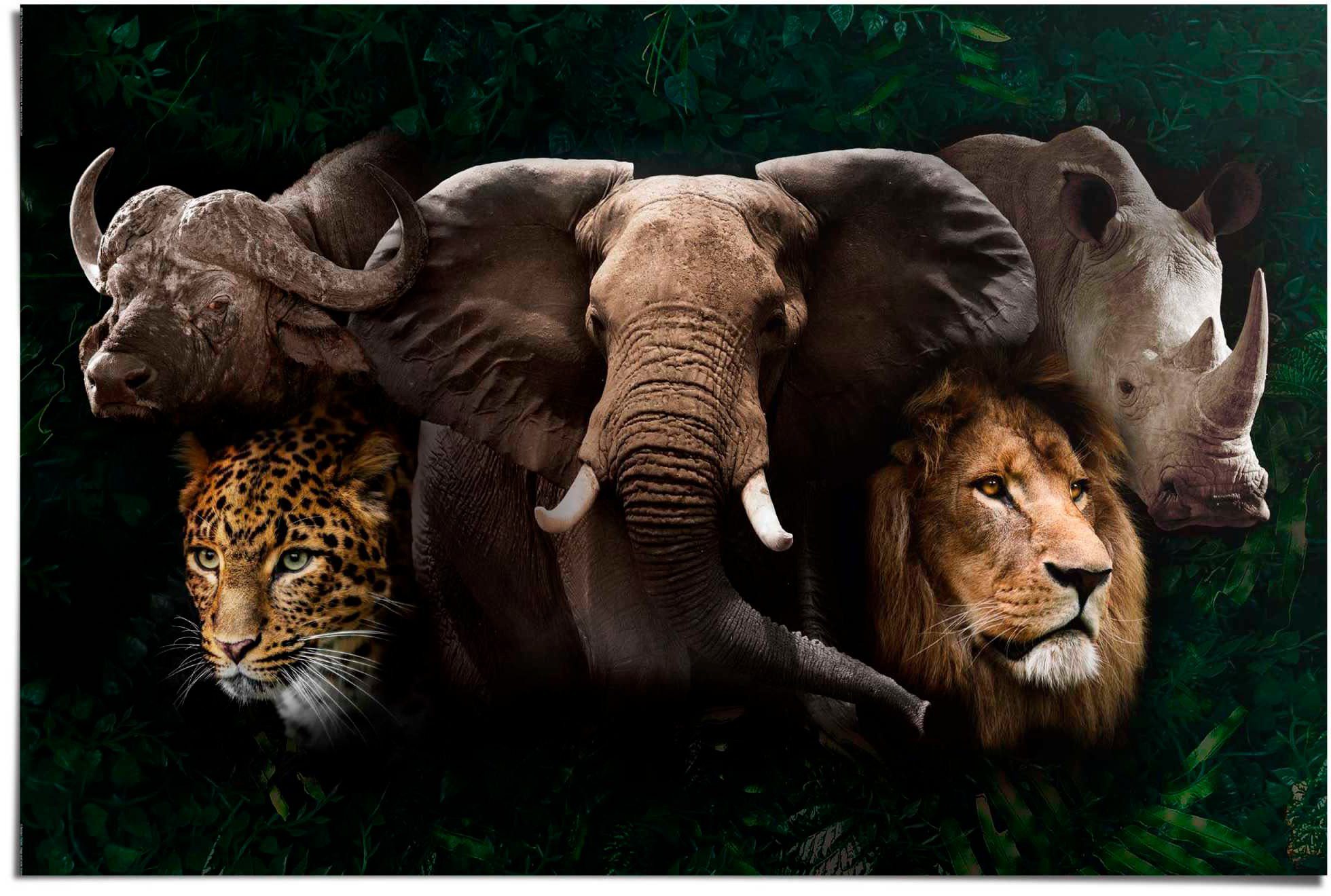 Reinders! Poster The big five | Poster