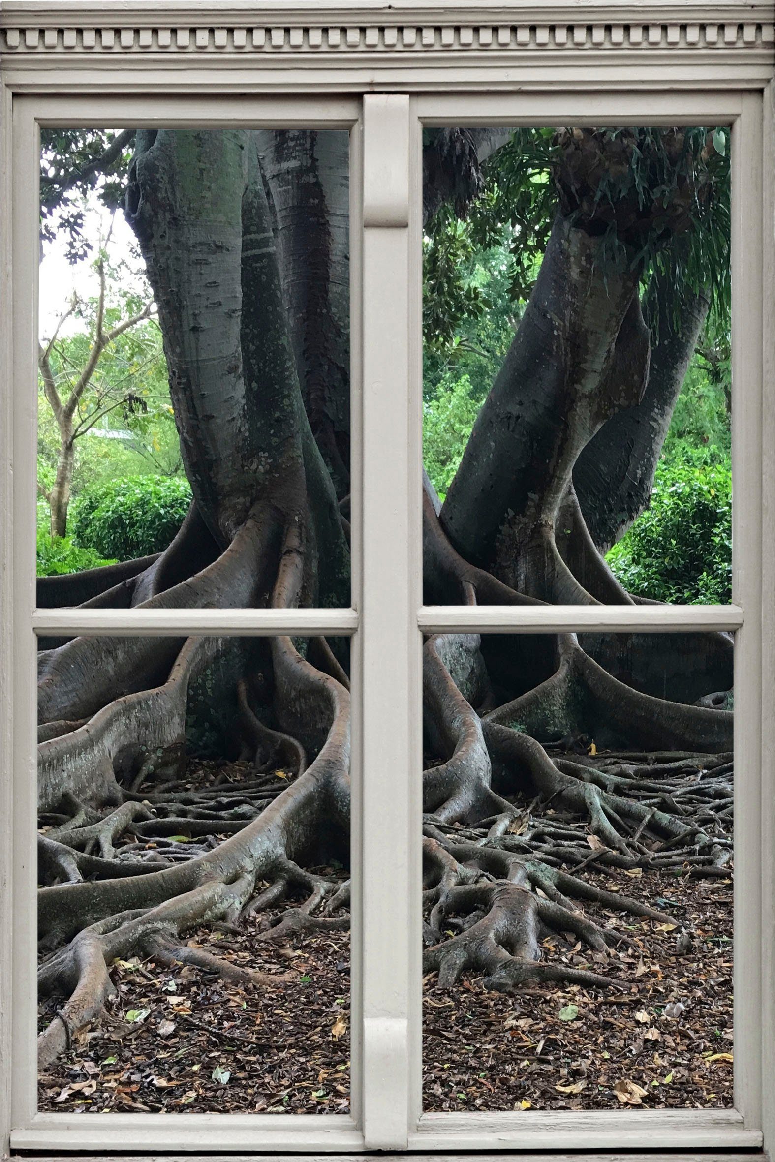 queence Wandsticker Wurzeln, Wandsticker, Wandbild, selbstklebend, 3D, Fenster