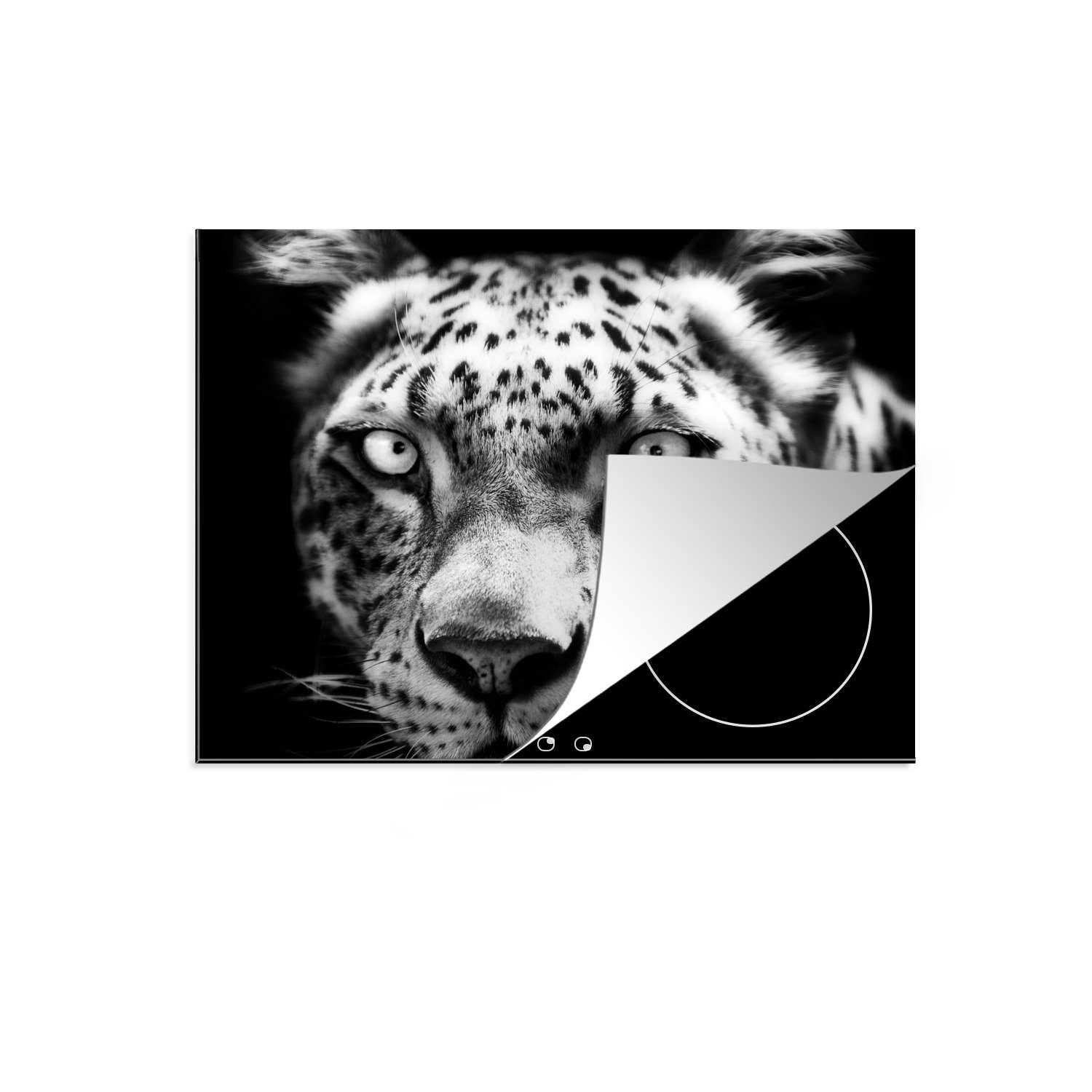 MuchoWow Herdblende-/Abdeckplatte Nahaufnahme Persischer vor Schwarz, cm, Mobile (1 schwarzem tlg), Hintergrund Leopard Arbeitsfläche Ceranfeldabdeckung in nutzbar, Vinyl, 70x52