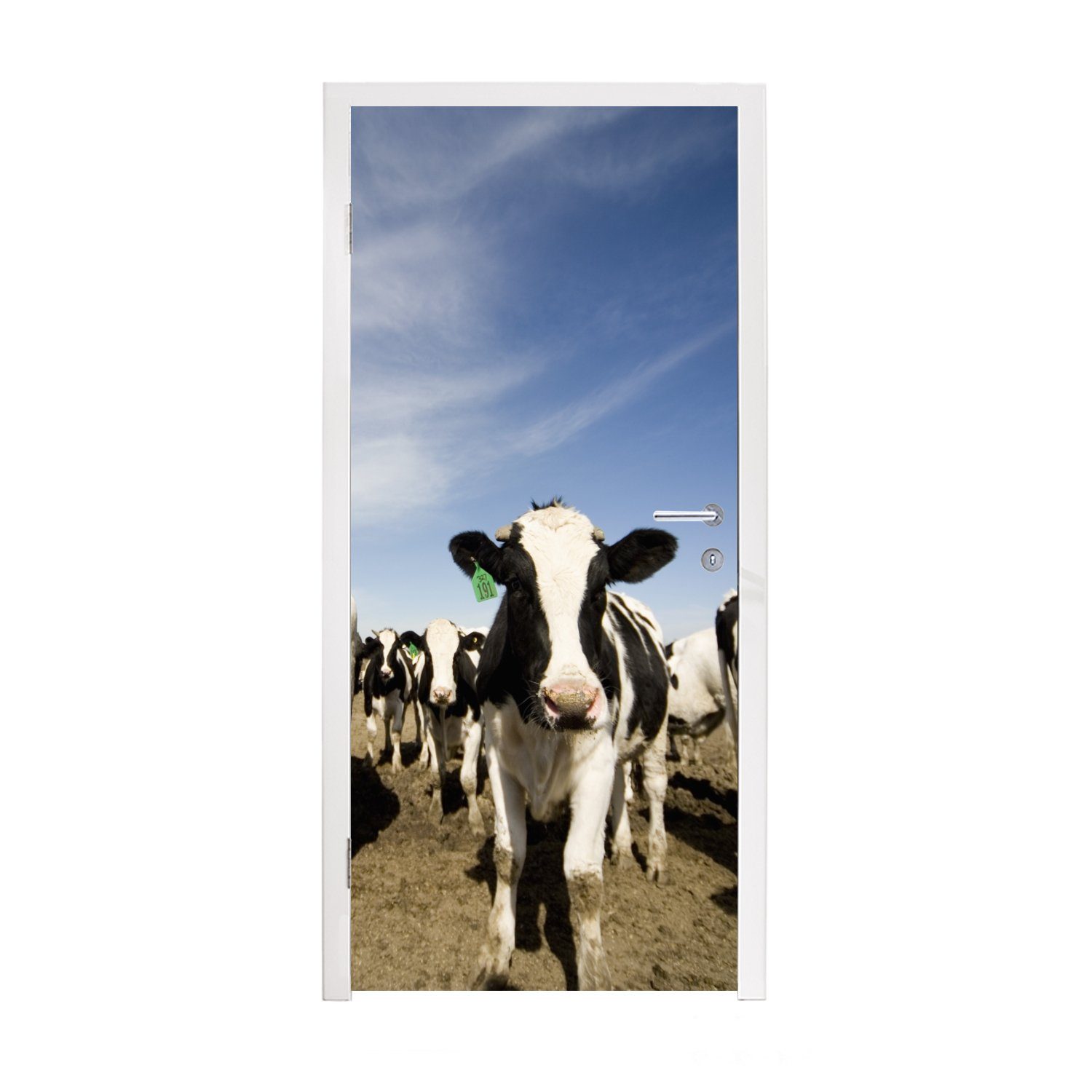 MuchoWow Türtapete Kuh - Sand - Tiere, Matt, bedruckt, (1 St), Fototapete für Tür, Türaufkleber, 75x205 cm