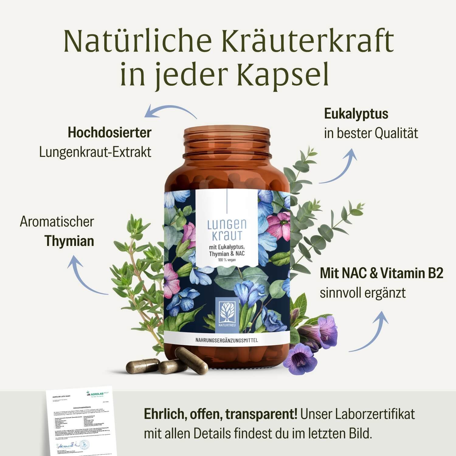 Naturtreu LUNGENKRAUT Kapseln, 1 er