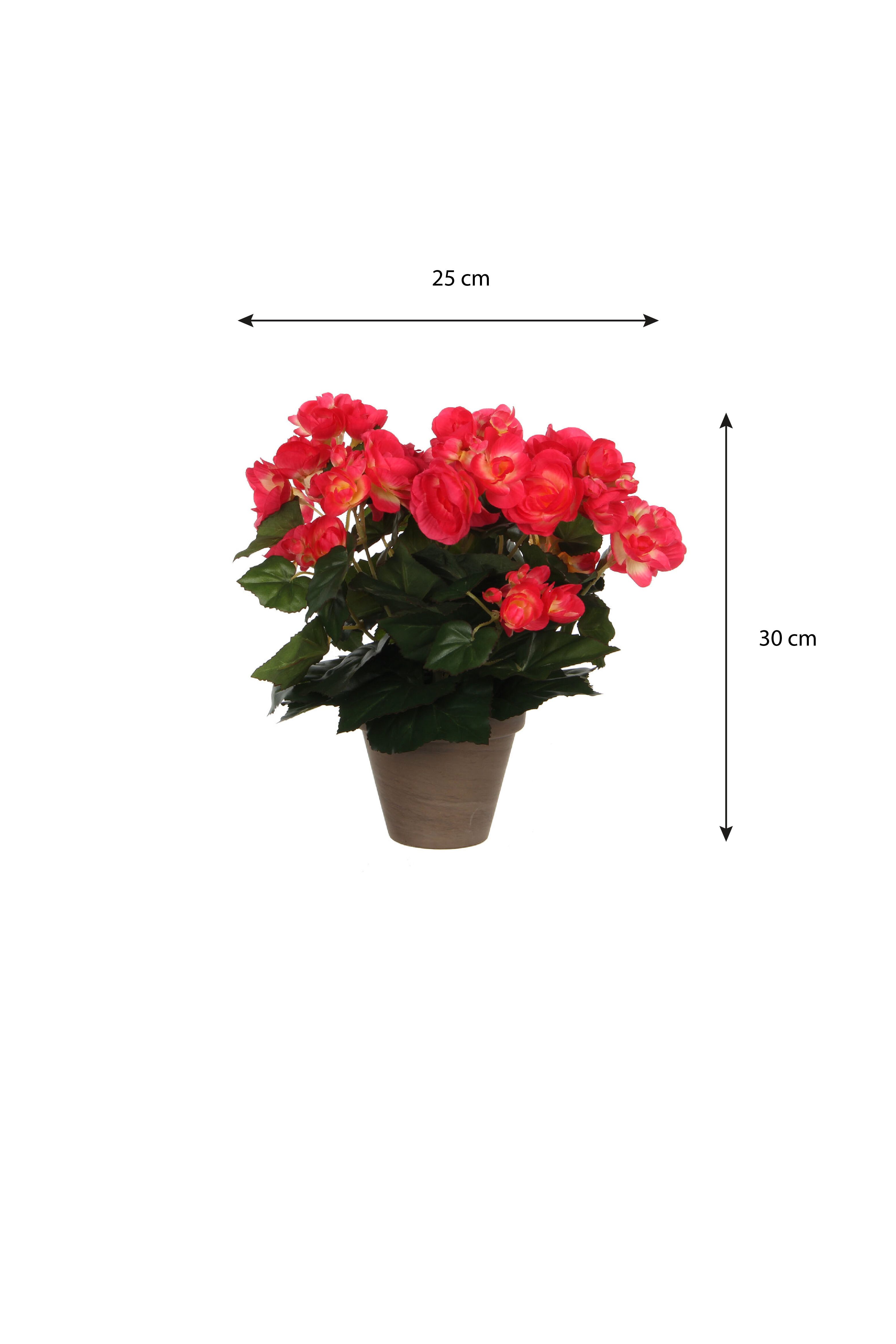 Kunstpflanze Mica Decorations Begonia d.rosa in Topf Stan grau d11,5cm - h30xd25cm, Mica Decorations, Höhe 30 cm