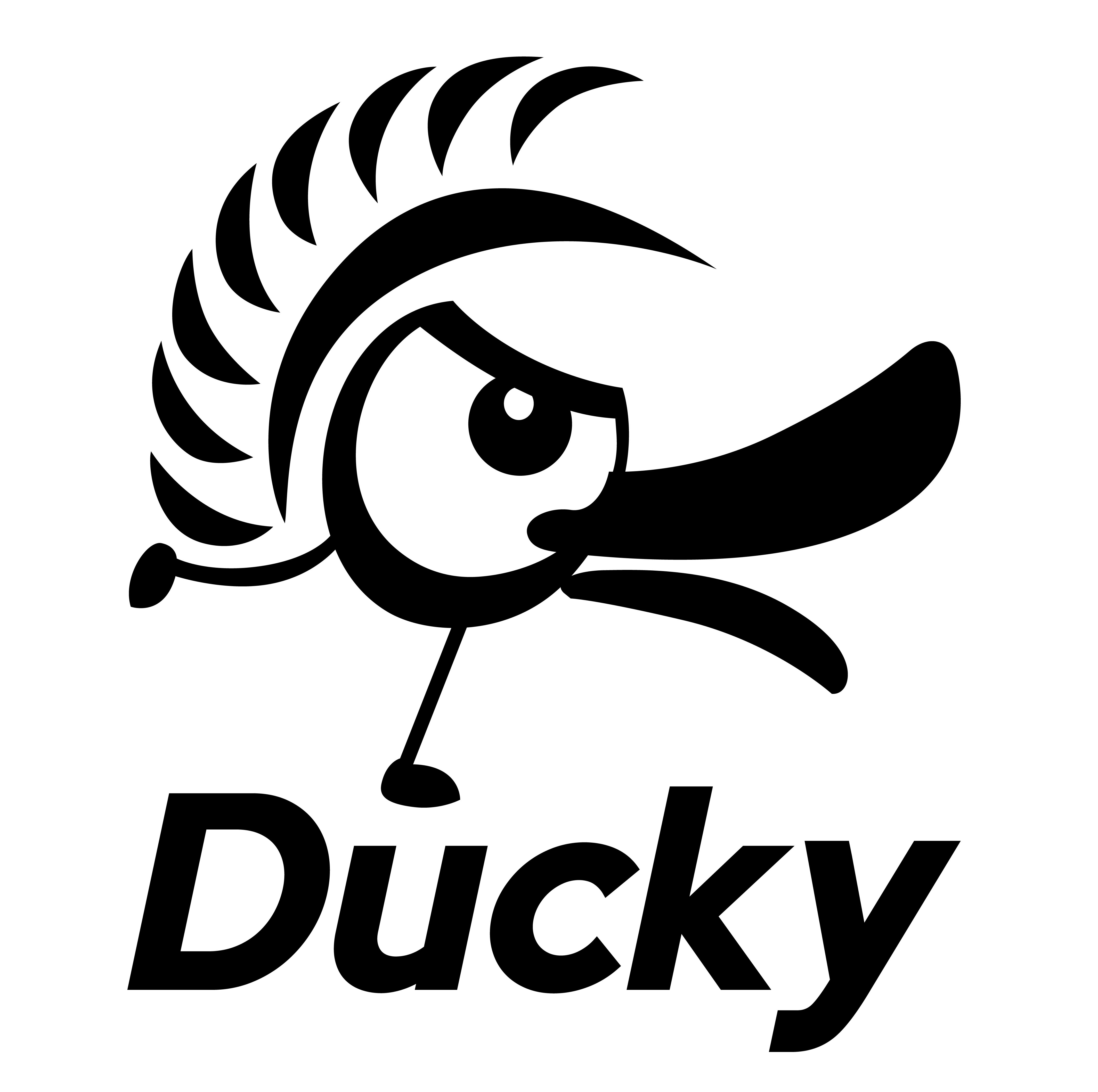 Ducky