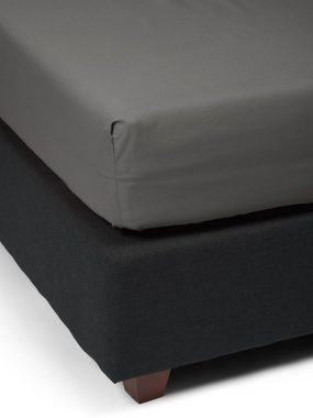 Spannbettlaken Premium Percale, Essenza, Perkal, Gummizug: rundum, (1 Stück), Uni Baumwollperkal