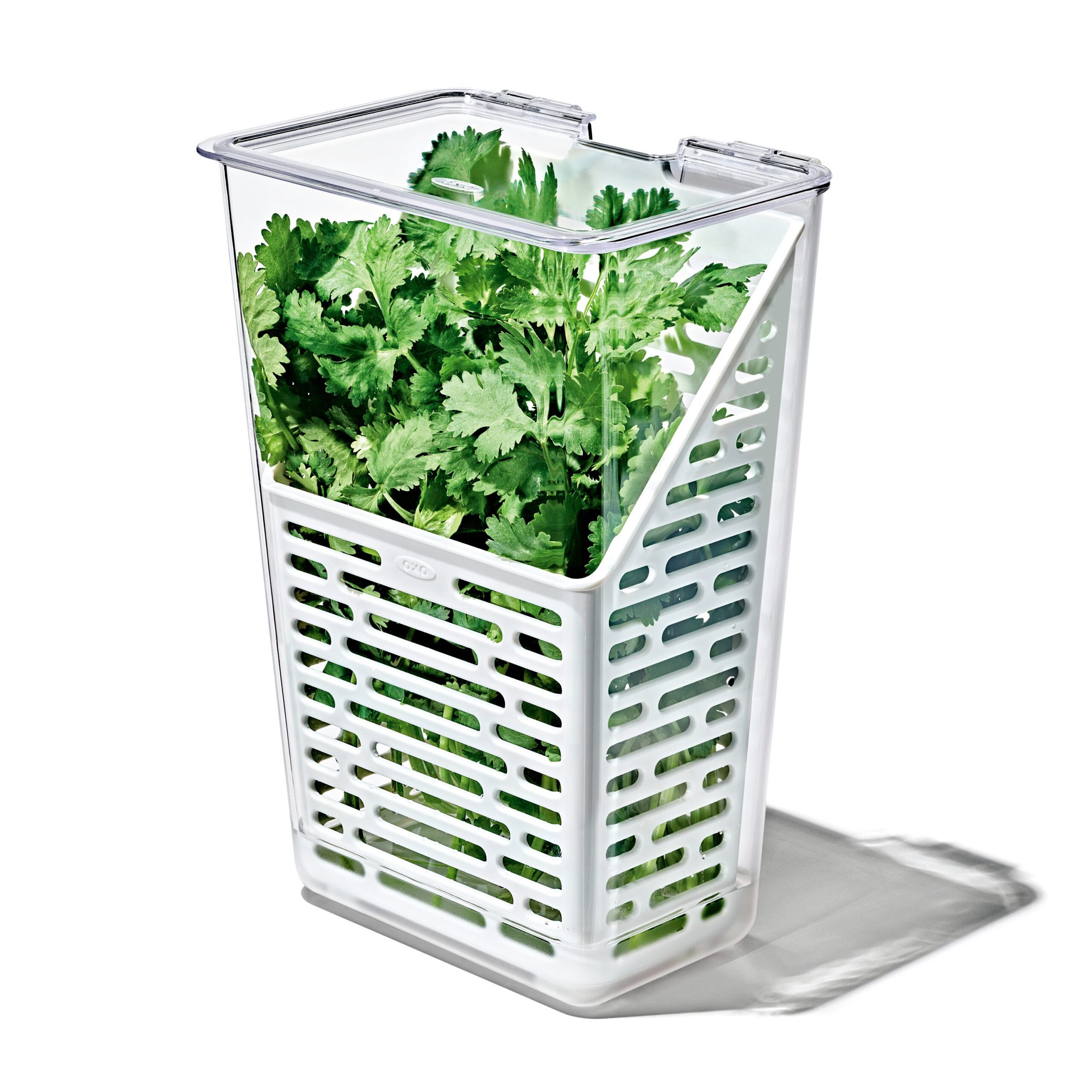 OXO Good Grips Aufbewahrungsbox OXO Frischhaltebox - Kräuteraufbewahrung (1 St)