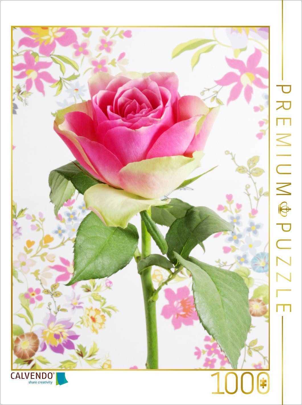 Puzzle CALVENDO Puzzle Rose, 1000 Teile Lege-Größe 64x48cm Foto-Puzzle für g
