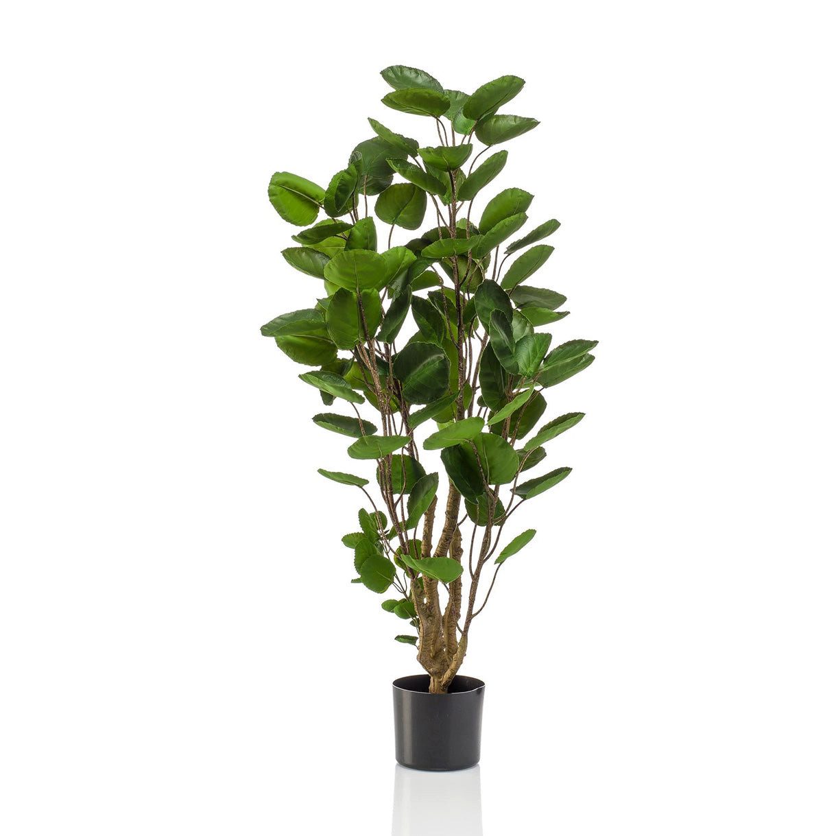 Kunstpflanze Künstliche Pflanze Polyscias – Aralie – 105 cm Aralie, Florora, Höhe 105 cm, hochwertige Kunstpflanzenoptik