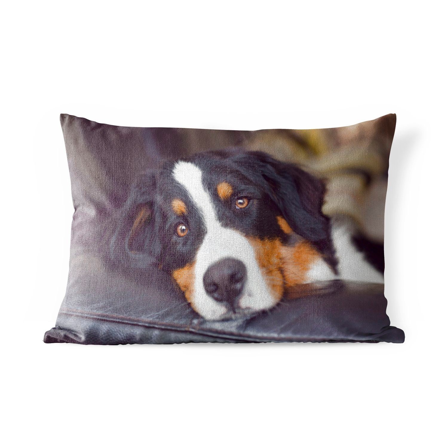 MuchoWow Dekokissen Ein Berner Sennenhund liegt auf dem Sofa, Outdoor-Dekorationskissen, Polyester, Dekokissenbezug, Kissenhülle