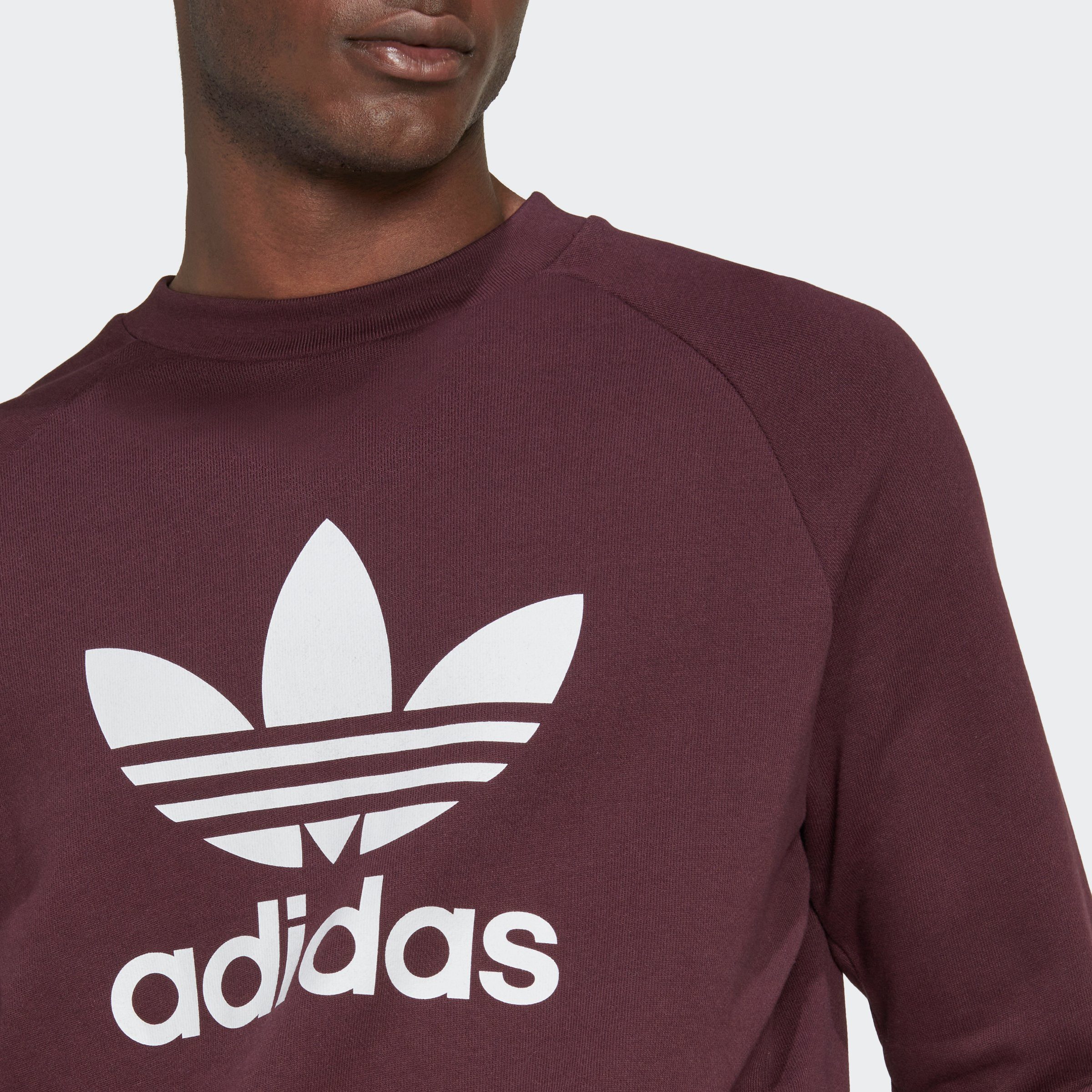 adidas Originals Sweatshirt TREFOIL SHAMAR CLASSICS ADICOLOR