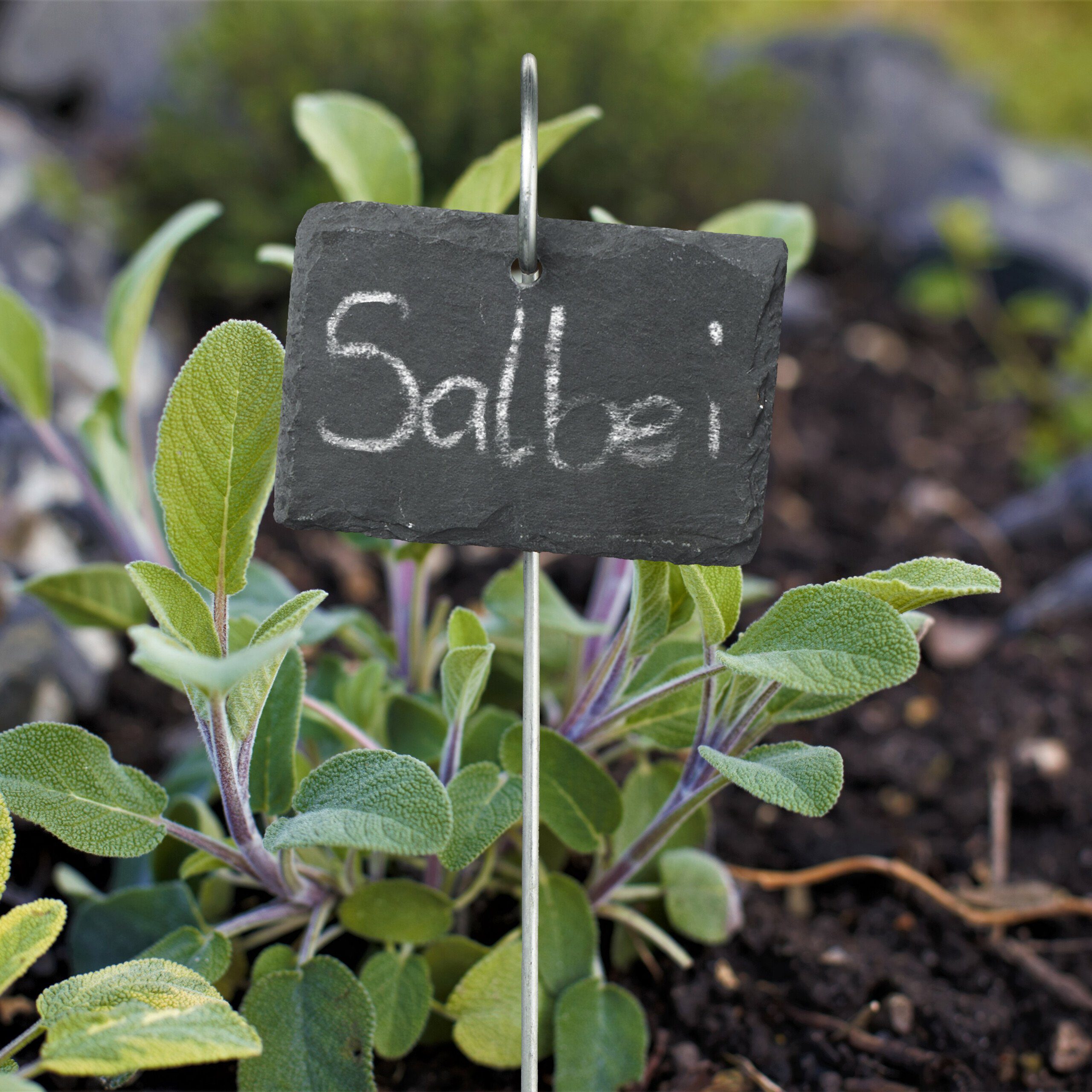 relaxdays Gartenstecker 12 Schiefer-Pflanzenschilder mit Stab