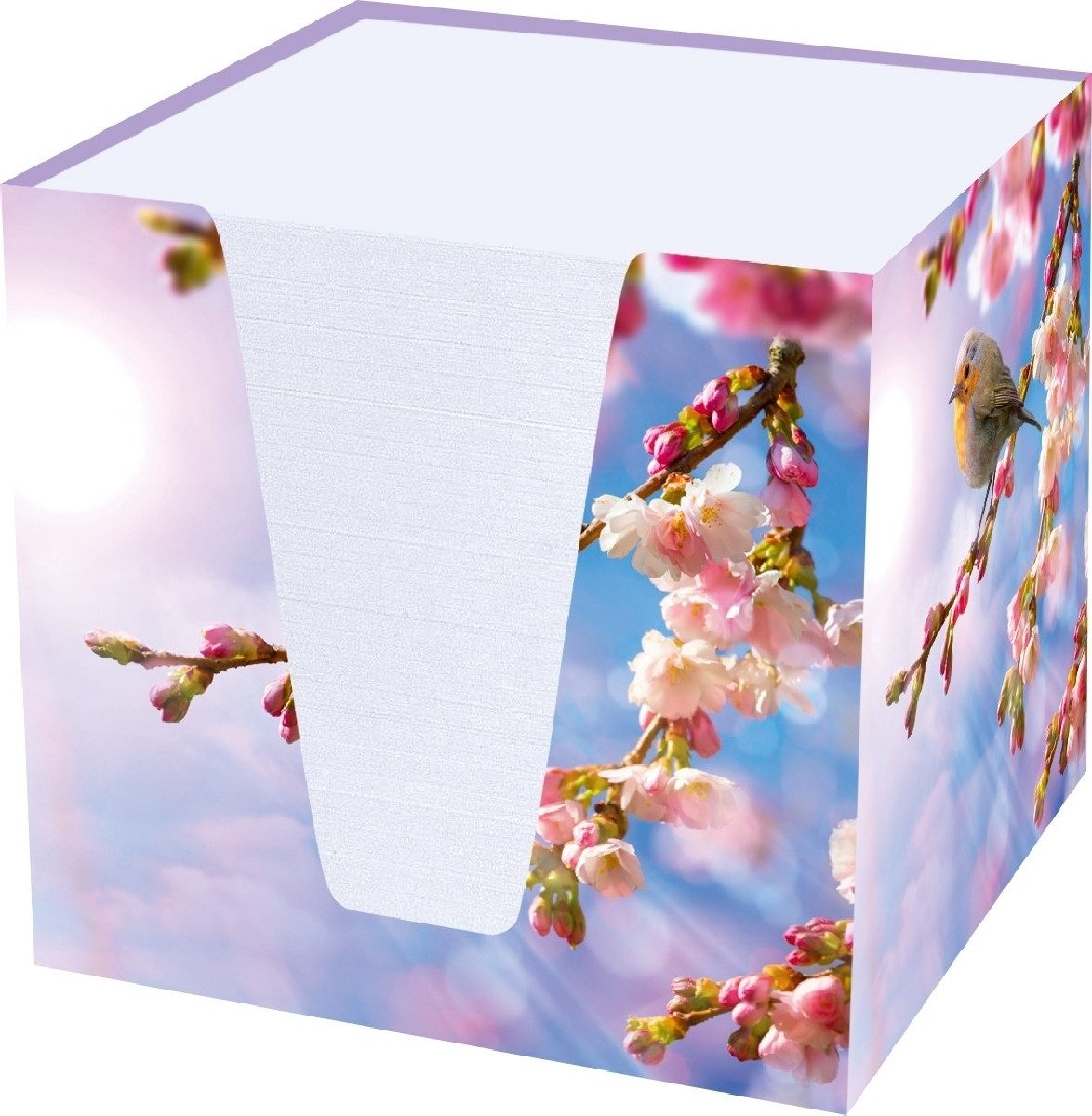 RNK Verlag Notizzettel Notizklotz Rotkehlchen 70 g/qm 92x92x92mm weiß 900 Blatt