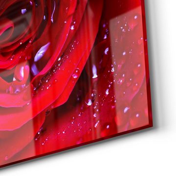 DEQORI Magnettafel 'Rose mit Wasserperlen', Whiteboard Pinnwand beschreibbar