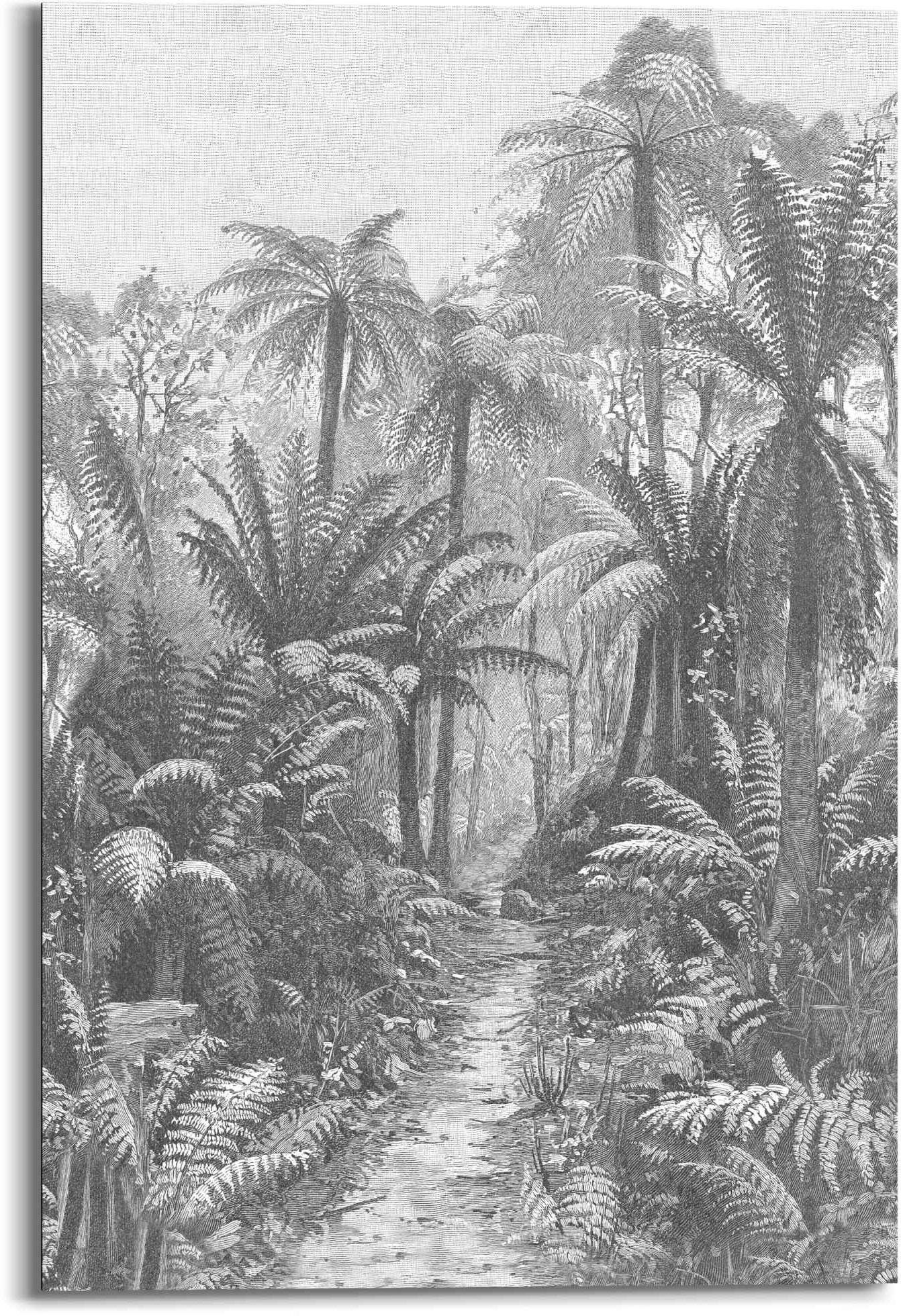 Reinders! Wandbild »Wandbild Palmen Gravur Regenwald - Ferns - 19. Jahrhundert - Australien«, Palmen (1 Stück)-Otto