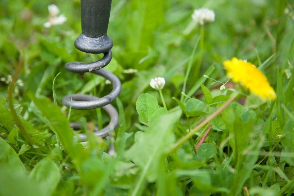 Krumpholz Gartenpflege-Set Krumpholz Löwenzahnzieher mit kurzem Eschenstiel (40 cm)