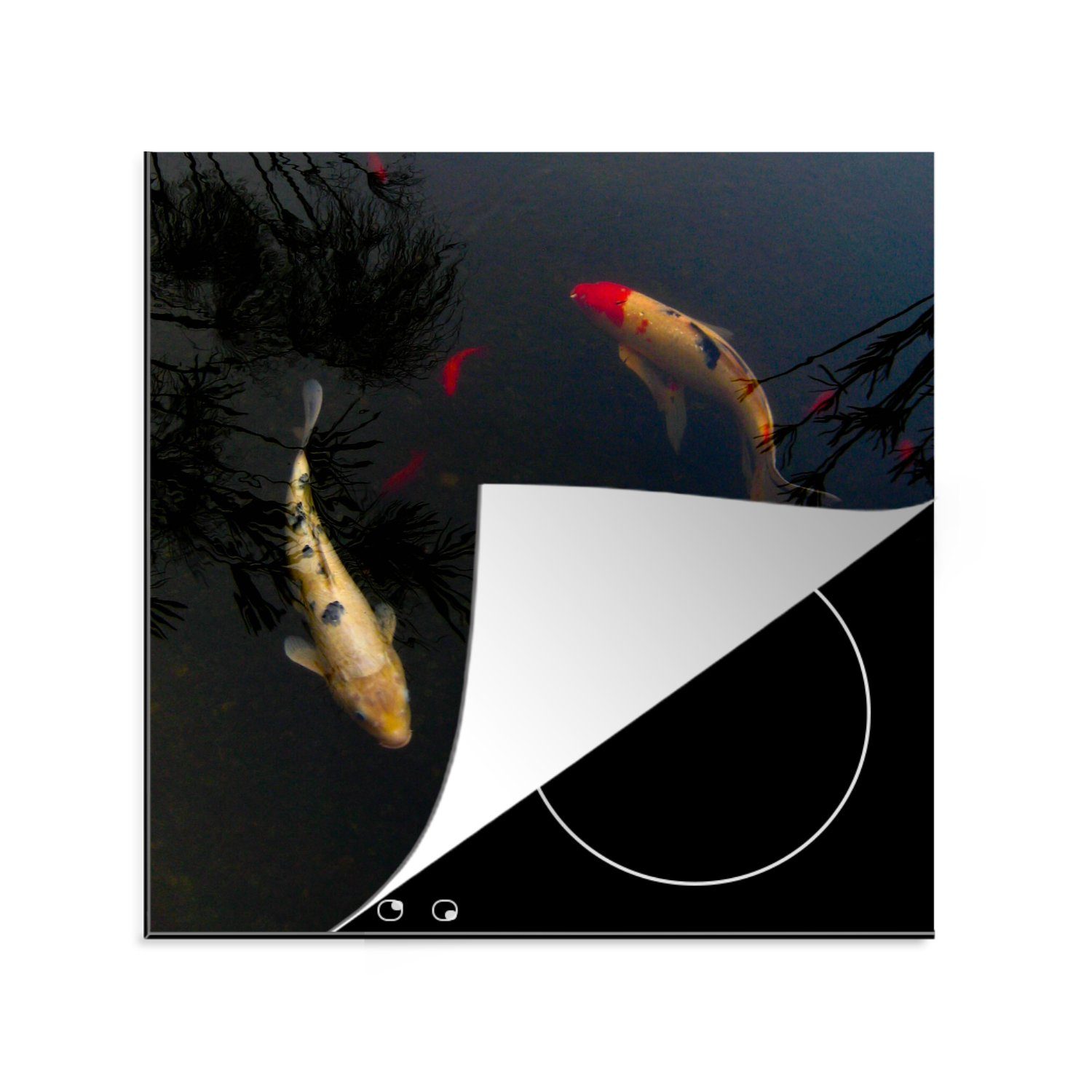 MuchoWow Herdblende-/Abdeckplatte Eine Gruppe schwimmen, die cm, von für Vinyl, küche tlg), (1 Kreis im Ceranfeldabdeckung, Arbeitsplatte 78x78 Koi-Karpfen