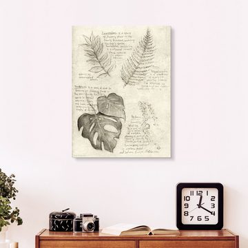 Posterlounge Alu-Dibond-Druck Mike Koubou, Pflanzen, Klassenzimmer Vintage Illustration