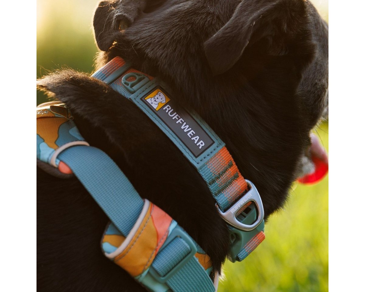 Thumbnail - Ruffwear Hunde-Halsband Hundehalsband Front Range Collar Spring Fade