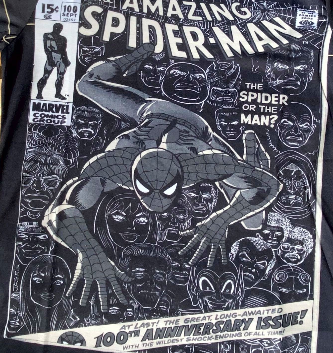 Spiderman Print-Shirt SPIDERMAN Comic Cover T-Shirt Dunkelgrau Slim Fit Erwachsene + Jugendliche Gr. S M L XL XXL