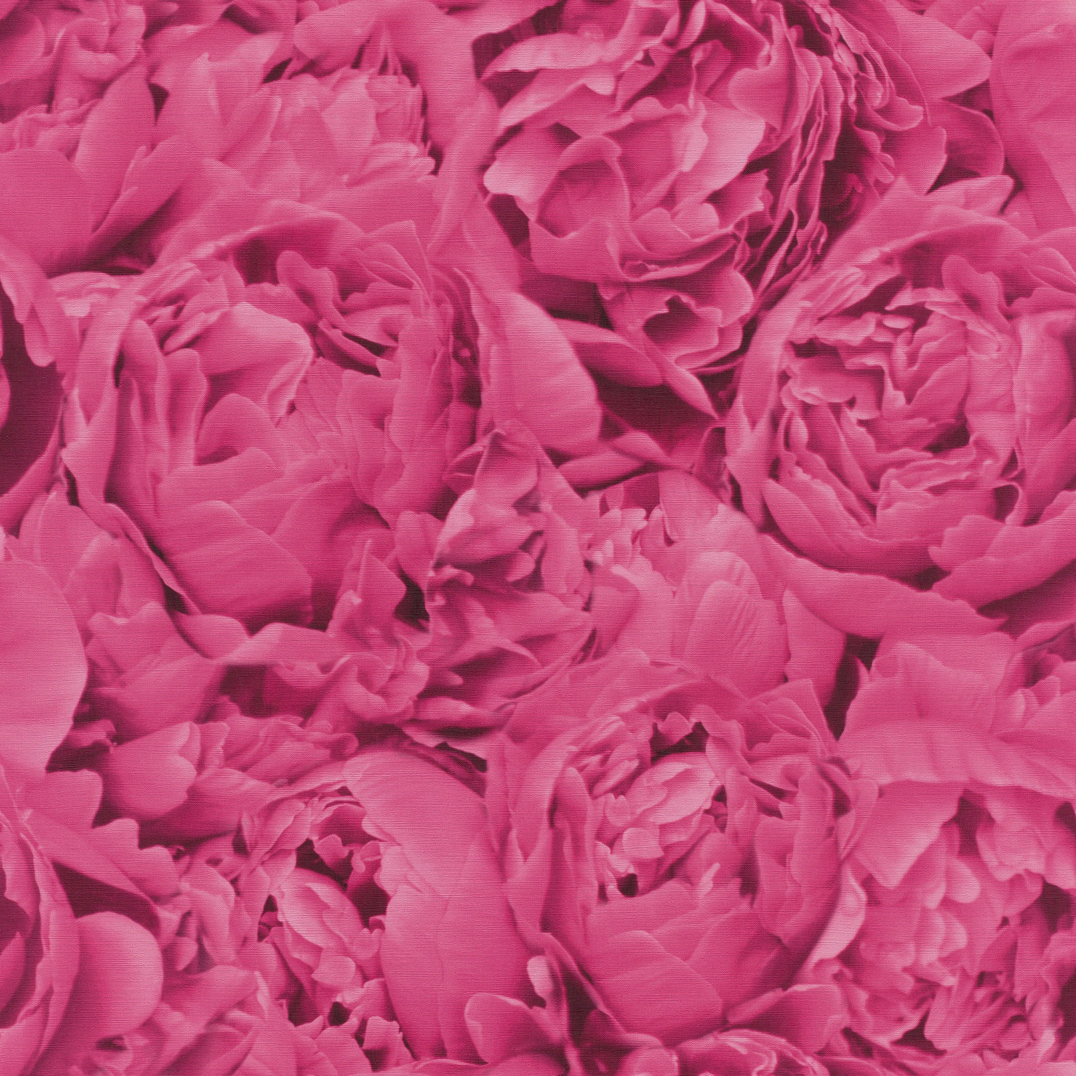 freundin Home pink geblümt Collection Rosen, Vliestapete