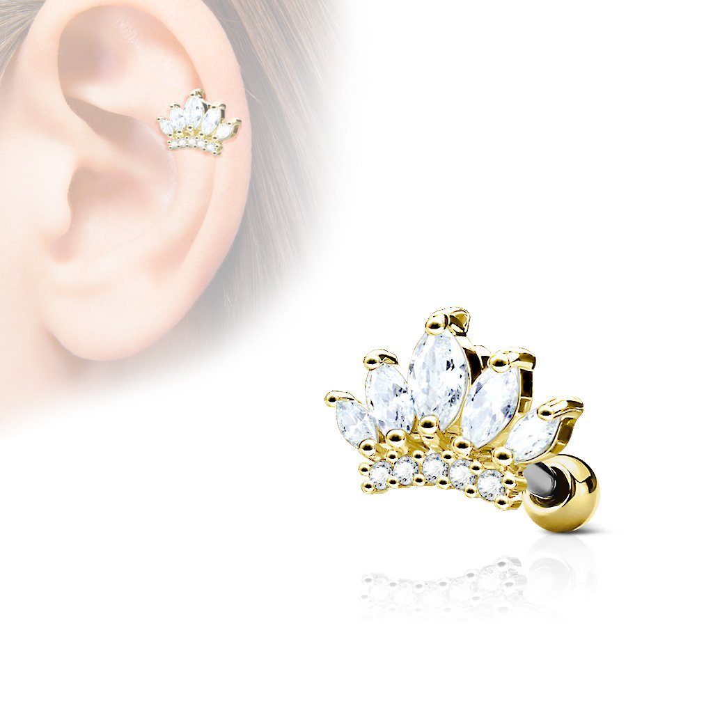 Taffstyle Piercing-Set Chirurgenstahl Ohr 316 Krone Kristall, Cartilage Helix mit Knorpel Gold Stecker Tragus Strass Krone Piercing Stecker L