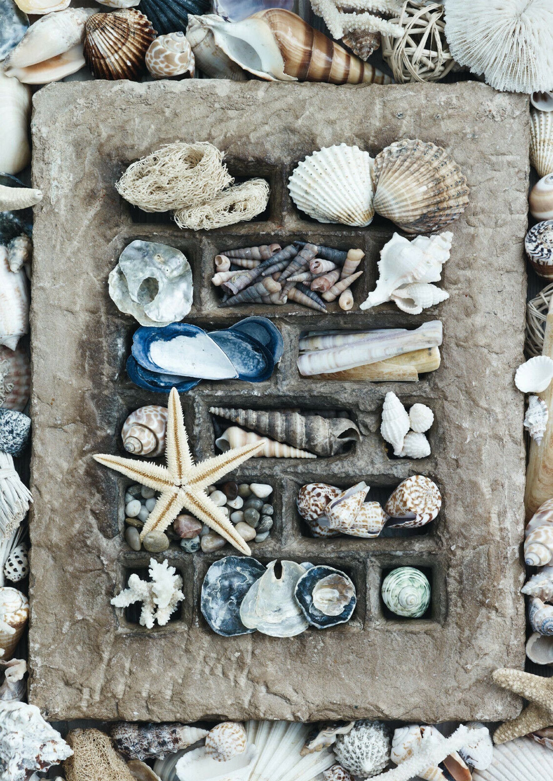 Schmidt Spiele Puzzle Strandgut, 500 Puzzleteile günstig online kaufen