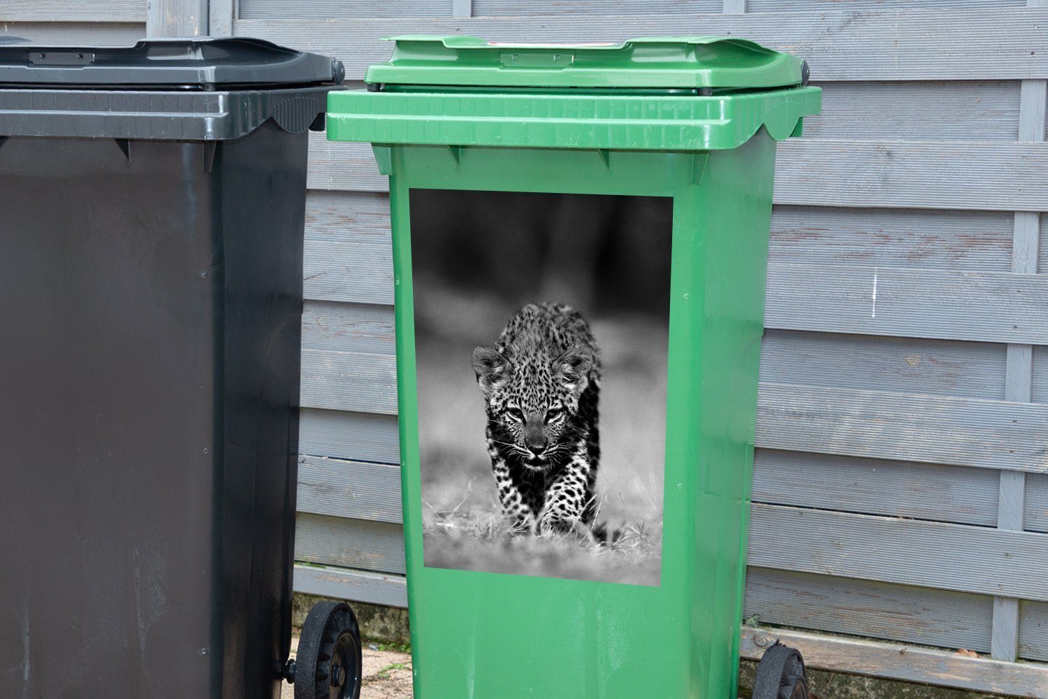 MuchoWow Wandsticker Porträt eines Leopardenjungen Sticker, Mülltonne, St), schwarz Abfalbehälter (1 Container, - Mülleimer-aufkleber, weiß und