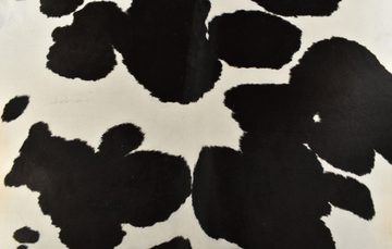 Fellteppich Kuhfell Rinderfell Teppich schwarz weiß ca. 220 x 180 cm, KUHFELL online & NOMAD