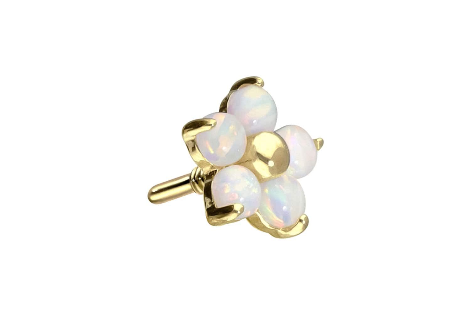 PIERCINGLINE Piercing-Set 14 Karat Gold Schraubaufsatz mit Außengewinde BLUME + 5 SYNTHETISCHE (Schraub-Aufsätze, 1-tlg)