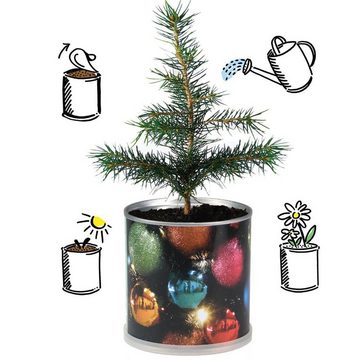 MacFlowers® Anzuchttopf Weihnachtsbaum in der Dose - 2er Set Kugeln und Pakete (2 St)