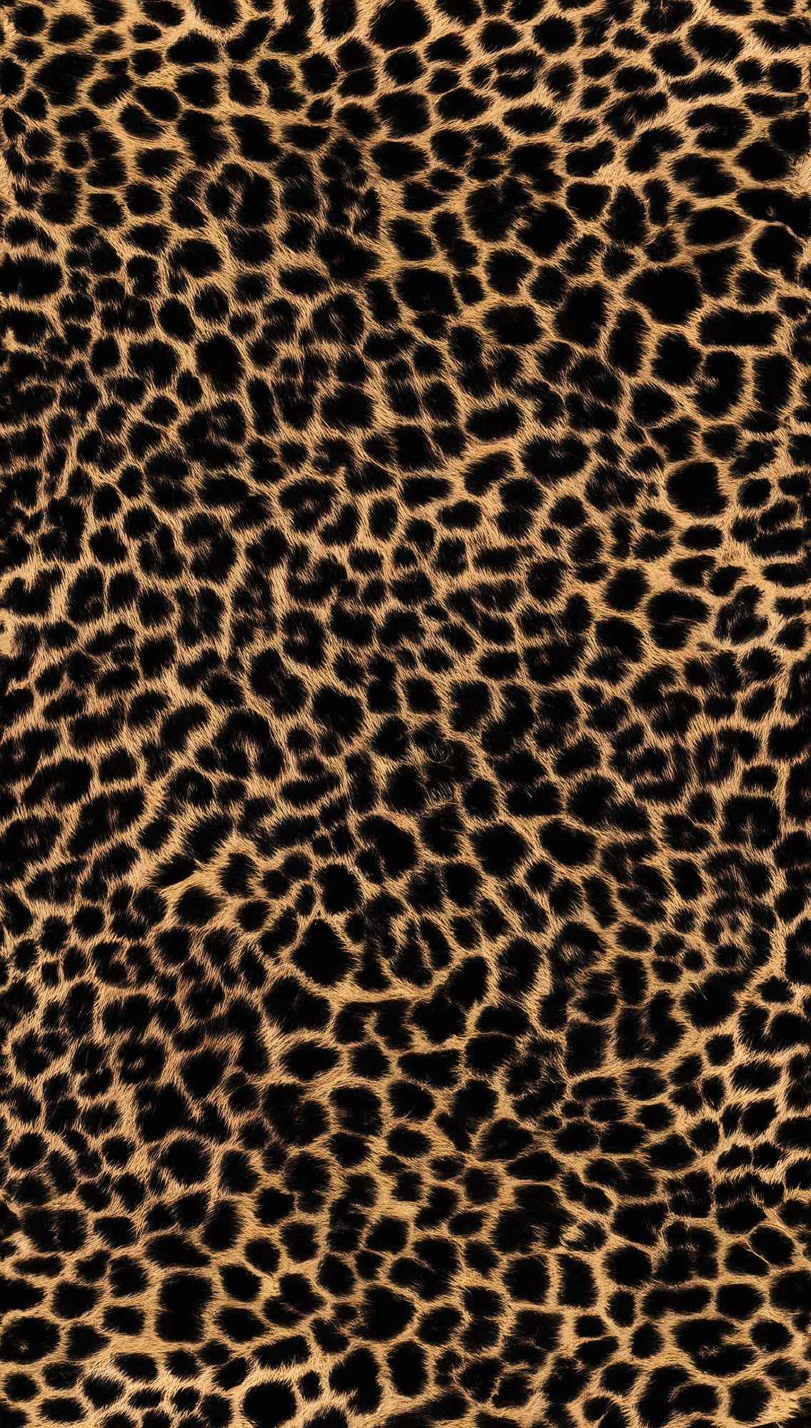 living walls Fototapete The Wall 4 Eyecatcher – Luxuriöses Leopardenmuster Vlies-Fototapete, leicht strukturiert, matt, animal print, Motiv, (1 St), Luxuriöses Leopardenmuster mit ausdrucksstarker Wirkung