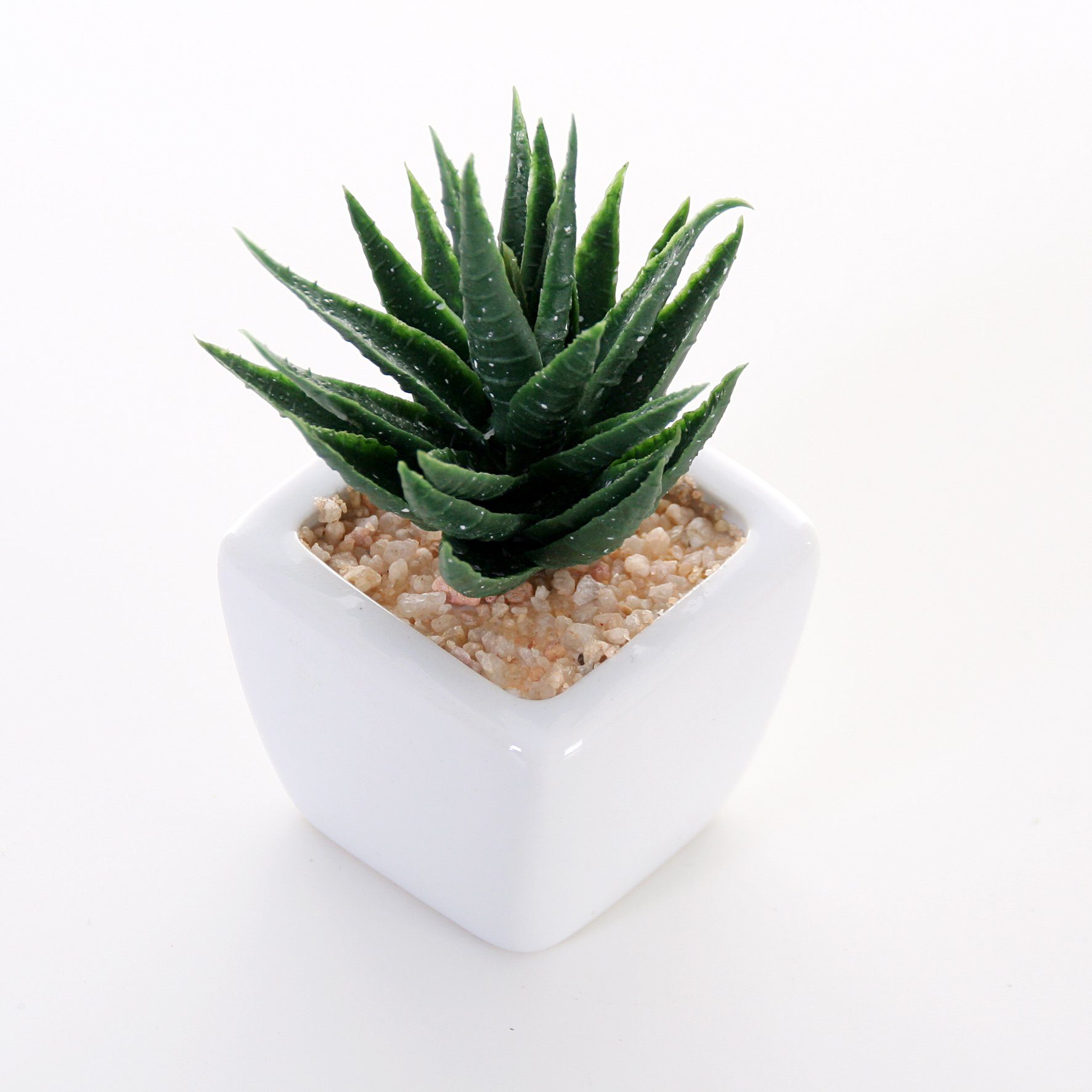 Kunstpflanze Deko Pflanzen im weißen Topf Sukkulenten, Wackadoo Living, Höh günstig online kaufen
