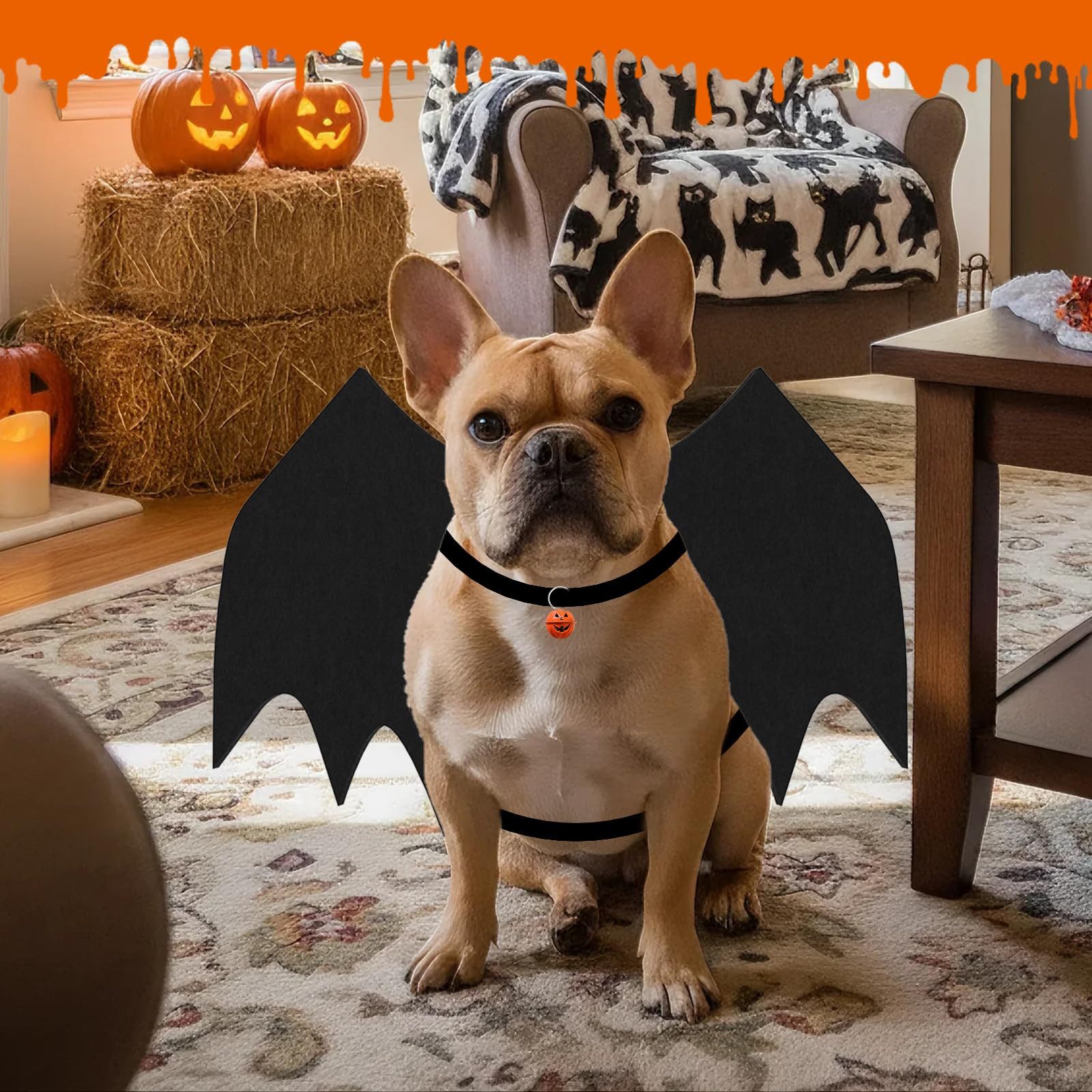 Srvillg Hundekostüm Halloween-Kostüm für kleine Hunde, Fledermausflügel mit Kürbisglocke, Halloween-Kostüm für Hunde und Katzen, Party-Dekoration